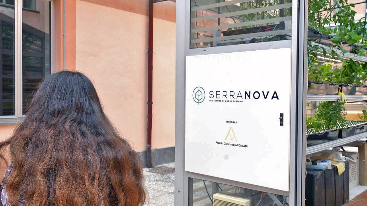 Serra aeroponica