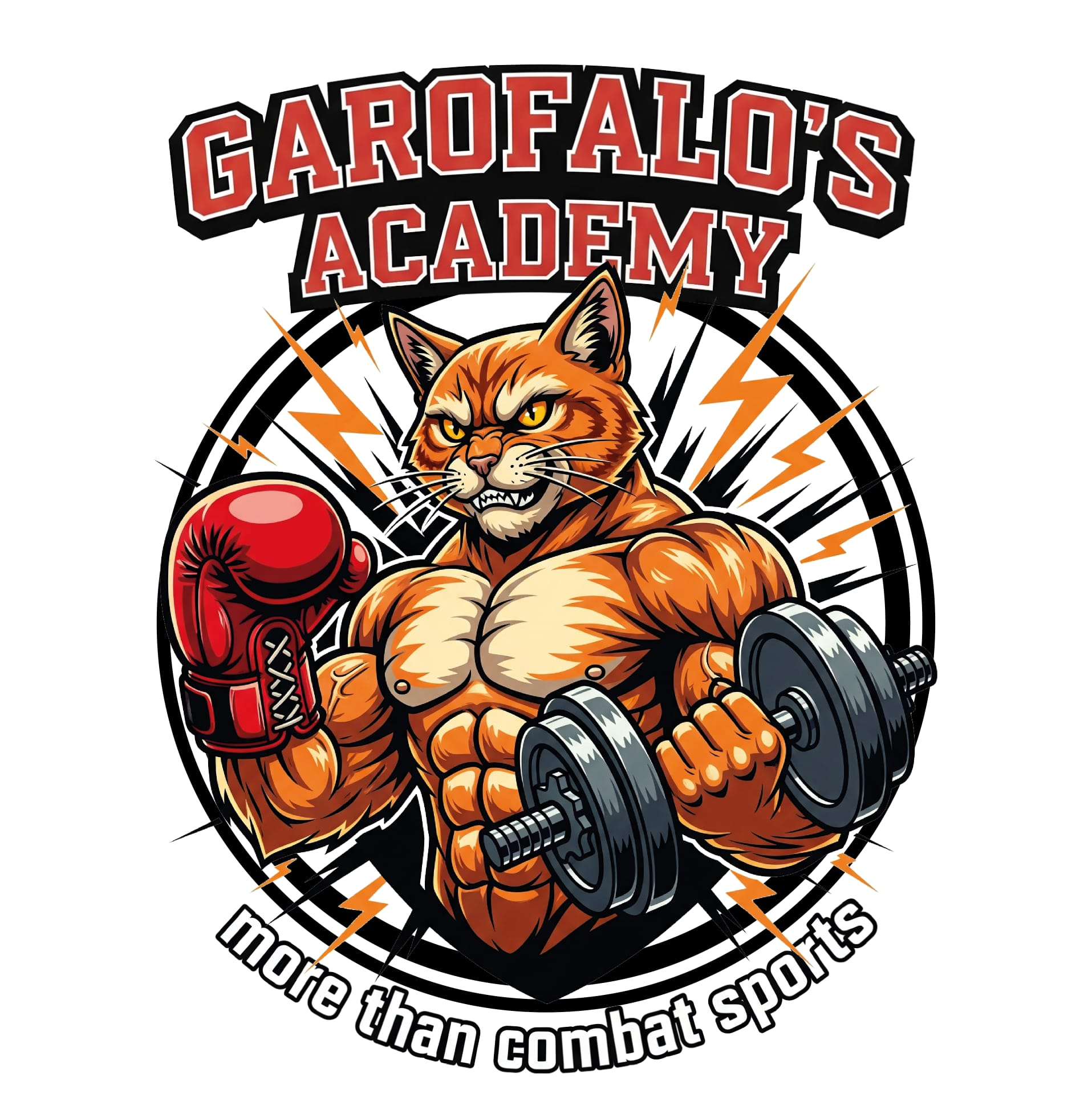 Pugilistica Abruzzo Garofalo's Academy