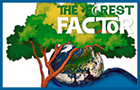 Convegno The Forest Factor
