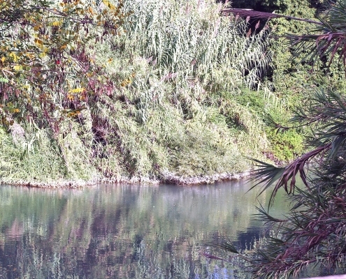 2025 Uscita didattica lungo il Fiume Pescara 3