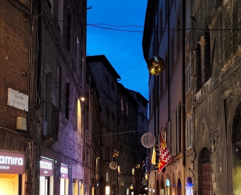 2025 Viaggio d'struzione Siena 2