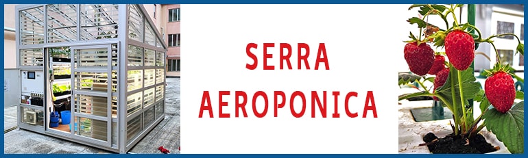 Serra aeroponica